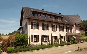 Rebstock Kappelwindeck